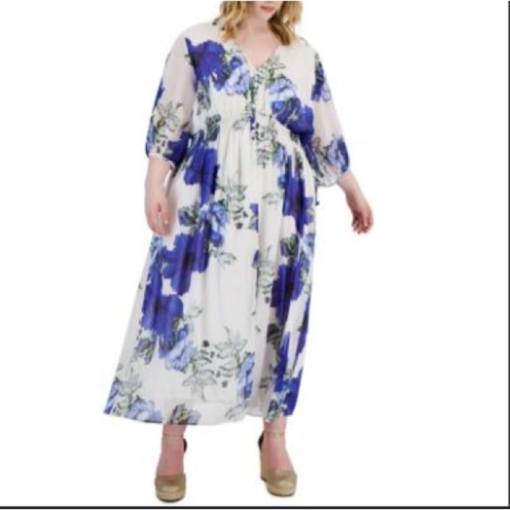 Taylor Chiffon Maxi Dress
